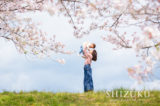 静岡の桜フォトはしずくさん