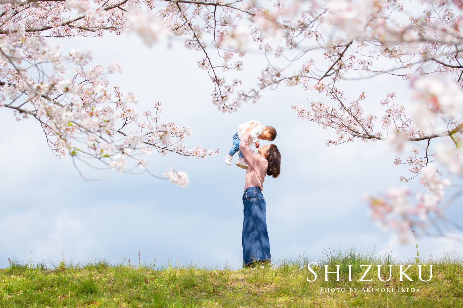 静岡の桜フォトはしずくさん