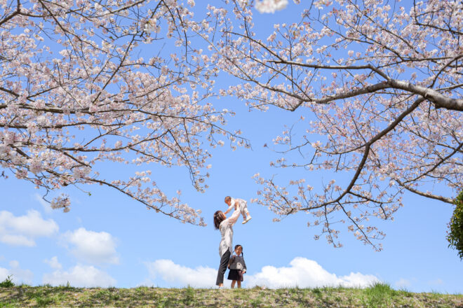 桜で家族写真